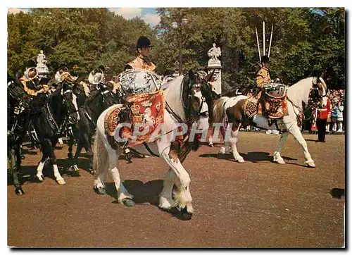 Cartes postales moderne Drum Houses London Drum Horses of the Life Guards and the Blues and Royal Mounted Massed Bands