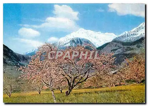 Moderne Karte Merano Primavero a Tirolo con vista della Zielspitze