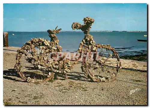 Cartes postales moderne Dans l'ile d'Oleron Le Chateau Sur le port Station Ostreophile Velo Cycle