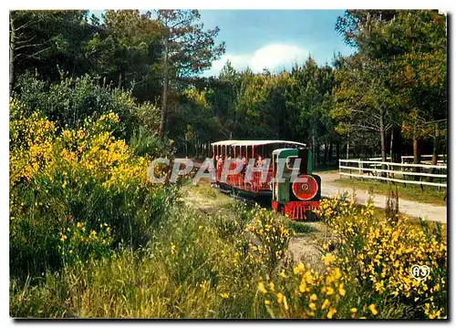 Cartes postales moderne Ile d'Oleron Charente Maritime Petit train touristique de Saint Trojan