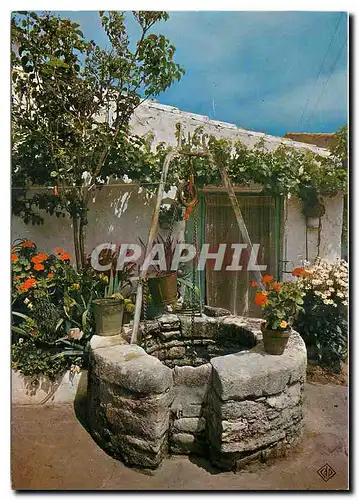 Cartes postales moderne Ile d'Oleron Le Puits Fleuri Oleronais