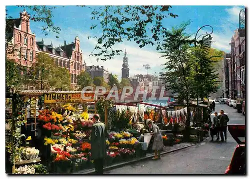 Cartes postales moderne Amsterdam Holland Marche des Fleurs avec Tour de la monnais