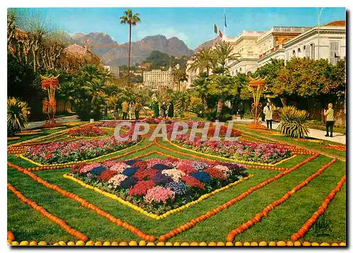 Cartes postales moderne Menton Perle de France Le Jardin pendant la Fete du Citron