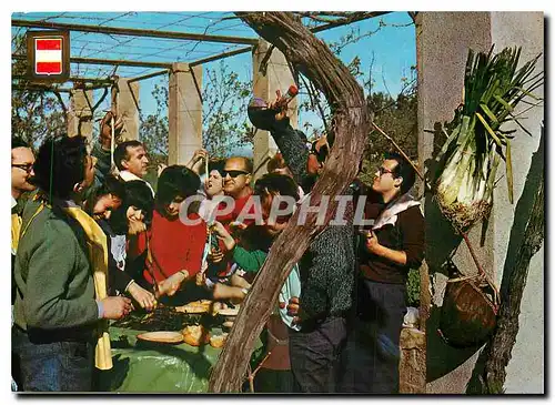 Cartes postales moderne Valls Tarragona La Calcotada