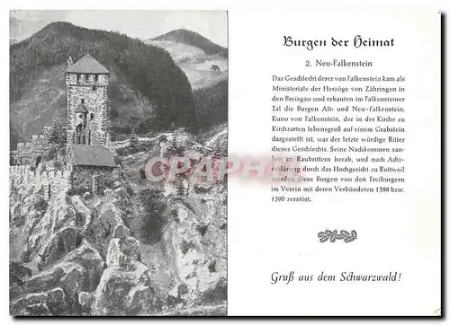 Cartes postales moderne Burgen der heimat Neu Falkenstein Gruss aus dem Schwarzwald