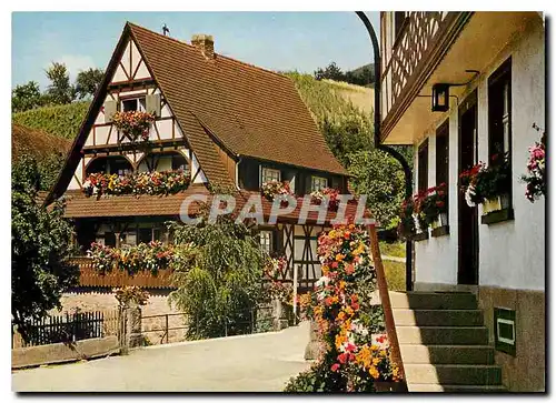 Cartes postales moderne Luftkurort Sasbachwalden Schwarzwald