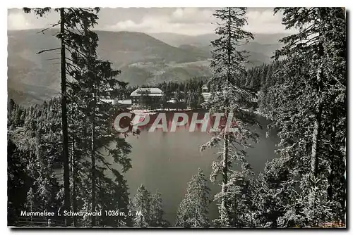 Cartes postales moderne Mummelsee Schwarzwald