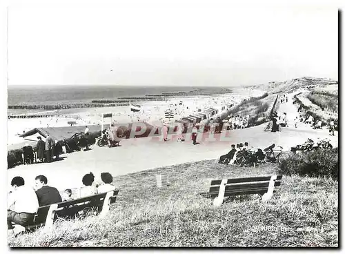 Cartes postales moderne Namaak verboden