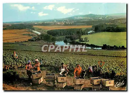 Moderne Karte Vendanges en Champagne Au dessus des meandres de la Marne au fond Epernay Folklore