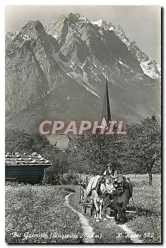 Cartes postales moderne Bei Garmisch Attelage B�ufs