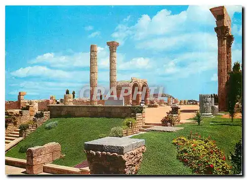 Cartes postales moderne Tarragona - Forum Romain