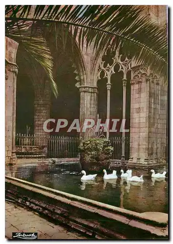 Cartes postales moderne Barcelona Cathedral. Cloitre et oies