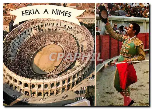 Cartes postales moderne Feria a Nimes