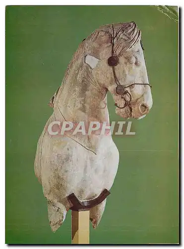 Cartes postales moderne The British Museum Colossal Marble Horse