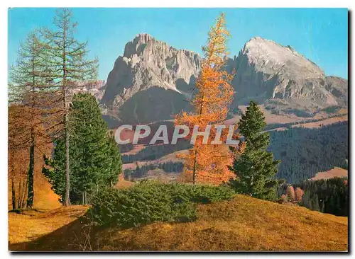 Cartes postales moderne Dolomiten Seiser Alm mit Langkofel im Herbst