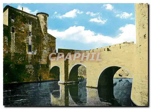 Cartes postales moderne Aigues Mortes (Gard) Le Pont reliant la Tour de Constance a la Tour de la Douane