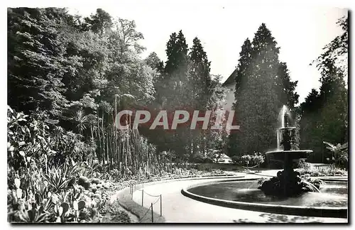 Cartes postales moderne Ueberlingen/Bodensee Stadtgarten