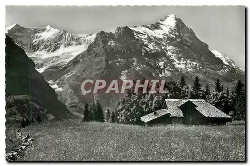 Cartes postales moderne Grindelwald. Fiescherhoerner und Eiger