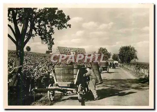 Cartes postales moderne Hotel Leinsweiler Hof Gaestehaus der Suedpfaiz