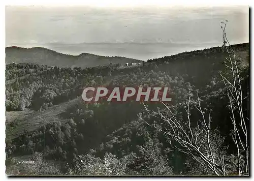 Cartes postales moderne Ballon D'Alsace (Alt. 1256m) La Chaine des Alpes vue du Ballon d'Alsace