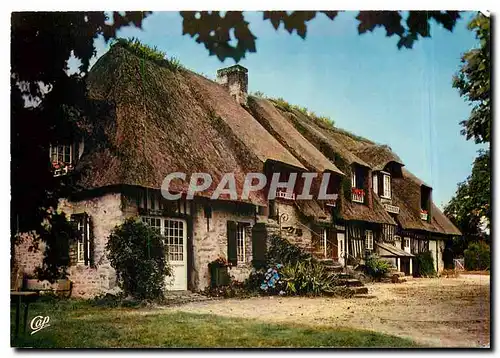 Cartes postales moderne La Luxuriante Normandie 1545 - En vallee d'auge Maison Normande au toit de chaume