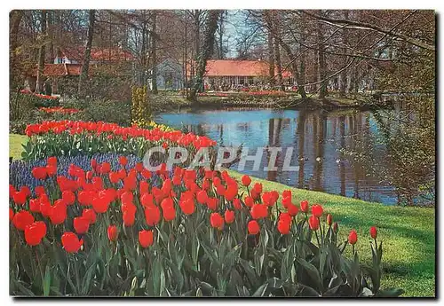 Moderne Karte Keukenhof Lisse-Holland