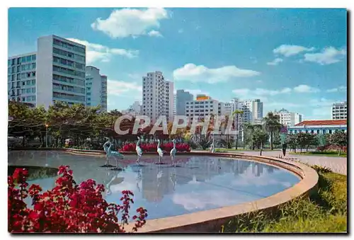 Cartes postales moderne Curitiba