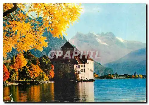 Moderne Karte Lac Leman Le chateau de Chillon et les dents du Midi