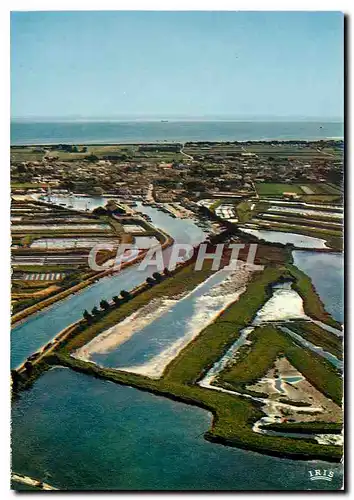 Cartes postales moderne L'ile de Re Vue du ciel