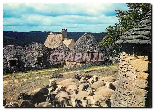 Moderne Karte Saint-Andre-d'Allas La ferme de Jacquou le Croquant Moutons