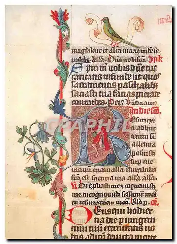 Moderne Karte Lettre R ornee d'une Resurrection