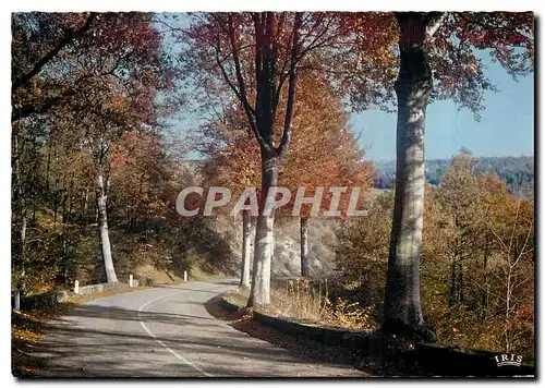 Cartes postales moderne Automne en Limousin