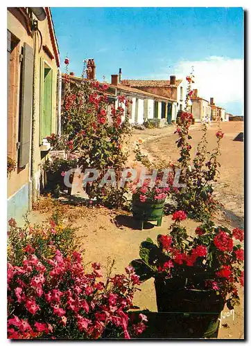 Cartes postales moderne L'ile d'Aix L'un des nombreux aspects pittoresques