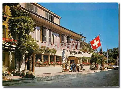 Cartes postales moderne Hotel Weisses Kreuz und Terrasse Murten Fribourg