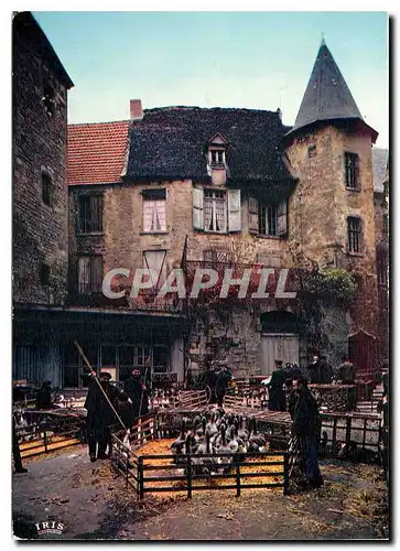 Cartes postales moderne Le Perigord Pittoresque Le marche aux oles