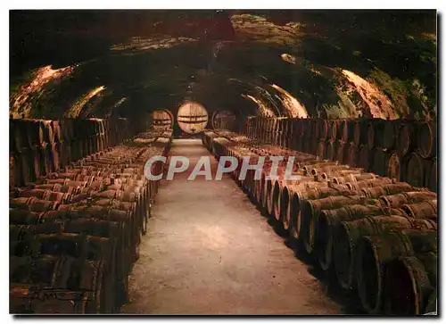 Cartes postales moderne Cave Bourguignonne