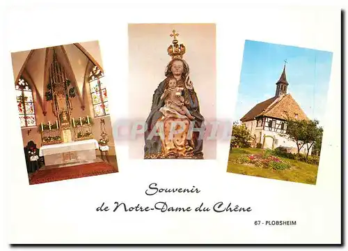 Cartes postales moderne Souvenir de Notre-Dame du Chene