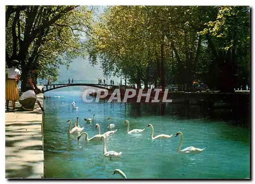 Cartes postales moderne Le Lac d'Annecy