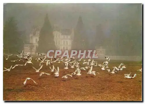 Cartes postales moderne Annecy - Le Paquier et la Prefecture