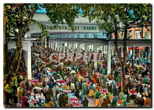 Moderne Karte Riviera del Fiori - Ventimiglia Marche des fleurs