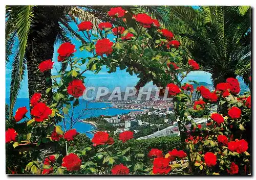 Cartes postales moderne Riviera del Fiori - San Remo Vue generale prise de levant