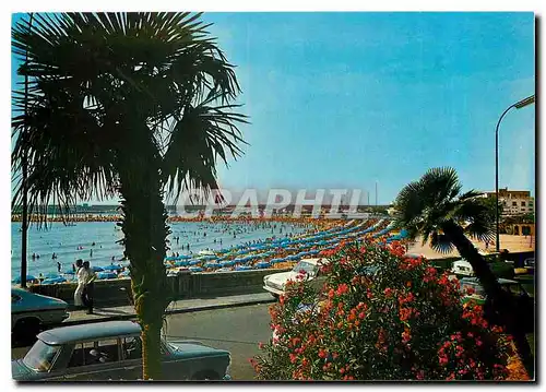 Cartes postales moderne San Remo Vue raccourcie de la plage et des jardins