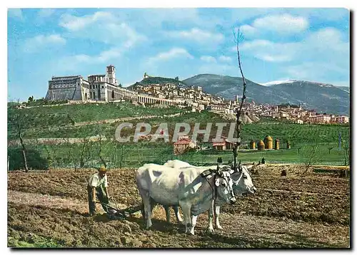 Cartes postales moderne Assisi Panorama