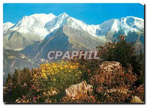 Cartes postales moderne Printemps en montagne au pied du Mont-Blanc