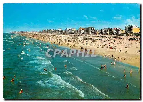 Cartes postales moderne De Panne Panorama