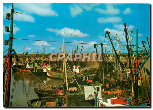 Cartes postales moderne Zeebrugge Le port de peche