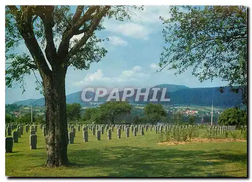 Cartes postales moderne Deutscher Sodatenfriedhof Niederbronn/Frankreich