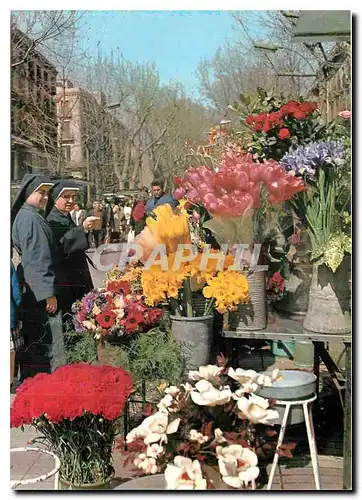 Cartes postales moderne Barcelona Rambla de las Flores