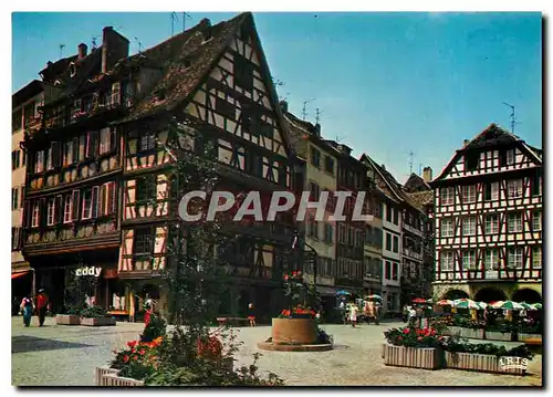 Cartes postales moderne Strasbourg La place du Marche aux Cochons de Lait