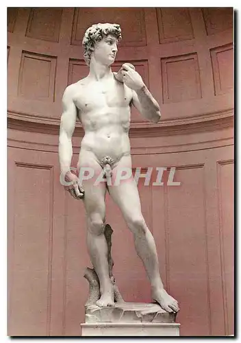 Moderne Karte Firenze David of Michenlangelo